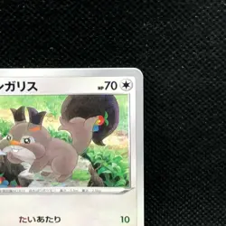 Skwovet 148/190 Pokemon TCG Nintendo 2020 Very Rare Mirror Card F/S From Japan - Image 4