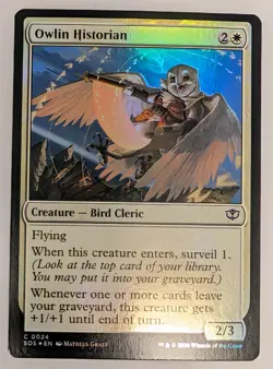 Owlin Historian Secrets of Strixhaven Foil - MTG - Image 1