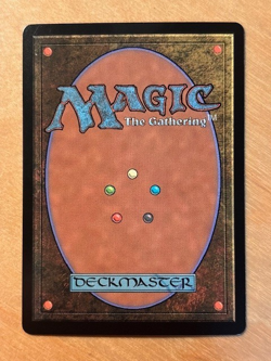 MTG Magic the Gathering Frostcliff Siege Foil Borderless Tarkir Dragonstorm NM - Image 2