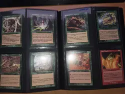 MTG Vintage collection circa 1995-2002 Assorted with Folder. Lightly played. - Image 5