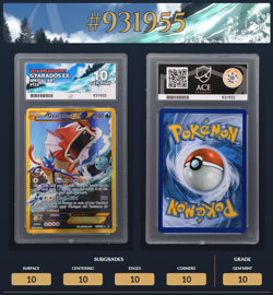 Gyarados EX 123/122 Breakpoint 2016 Pokemon TCG - ACE 10 - Perfect Subgrades - Image 1