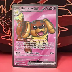 Pokemon TCG Dachsbun EX 160/142 Stellar Crown Ultra Rare - Image 1
