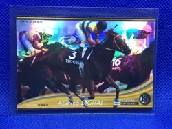 AGNES DIGITAL Horse Racing Holo prism card OWNERS HOUSE Japanese BANDAI 2012 - Image 1