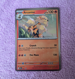 Nintendo SVP Black Star Promos Arcanine SVP EN 011 Holo Promo English 130HP - Image 1