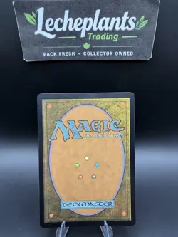 Silverback Elder Dominaria United Foil - Image 2