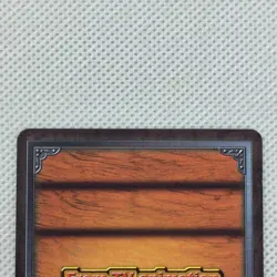 One Piece Cardgame Carddass Booster2 BA-C16 Karoo Bandai 2002 Japan - Image 5
