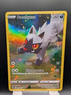 Poochyena GG33/GG70 – Crown Zenith: Galarian Gallery Pokemon Card NM - Image 1