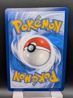 Poochyena GG33/GG70 – Crown Zenith: Galarian Gallery Pokemon Card NM - Image 4