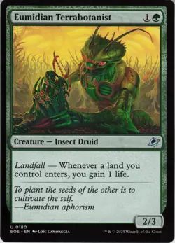 x2 Eumidian Terrabotanist U Edge of Eternities 180 NM MTG - Image 1
