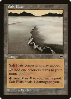 SALT FLATS Tempest MTG Magic the Gathering NM - Image 1