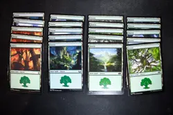 Magic the Gathering - 100 Basic Lands - NM/M Cards - Image 5