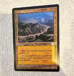 Wizards of the Coast Magic: The Gathering Winding Canyons Weatherlight Regular - Image 1