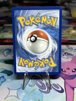 Pokemon TCG: First Partner Collection Series 2 Unova NM - Image 3