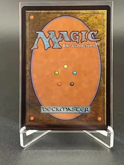 Court of Garenbrig (Foil, #25, NM) Commander: Wilds of Eldraine (WOC), MTG - Image 2