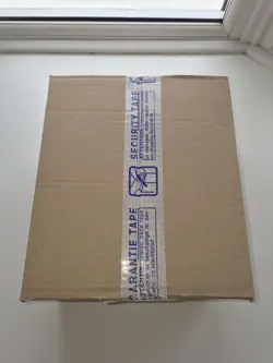 Pokemon Paldea Evolved Booster Box Case - Image 2