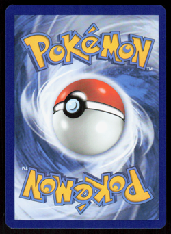 Chewtle 060/202 Reverse Holo 2020 Pokemon Sword & Shield LP - Image 2