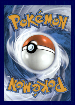 Hisuian Zoroark V - Holo Promo SWSH: Sword & Shield Promo Cards SWSH297 NM - Image 2