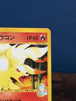 Morty’s Ninetails 020/141 VS Series 1st Edition Pokemon Card - Image 3