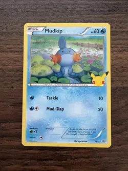 MUDKIP - 19/25 25th Anniversary McDonald’s - Regular NM - Pokemon TCG Card - Image 1