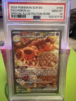 PSA 10 2024 Pokemon Dachsbun EX SIR 169/142 Stellar Crown - Image 1