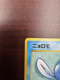 Poliwag No. 060 #9 Intro Pack Squirtle Deck Japanese Pokemon 1999 NM - Image 3
