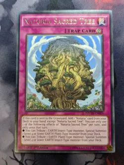 Naturia Sacred Tree - NECH-EN076 - Rare - 1st Edition Yugioh - VLP - Image 1