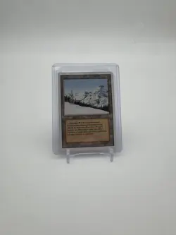 MTG- Taiga, Dual Land, LP, Revised Edition English - Image 1