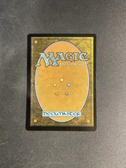 Forest (0516) (First-Place Foil) Aetherdrift Foil - Image 2