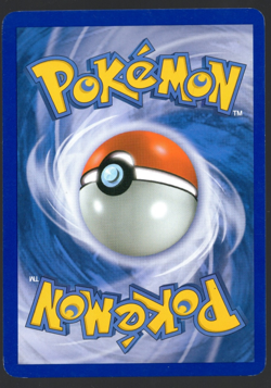 Pokemon Sceptile Stormfront Holo Card 10/100 LP - Image 2