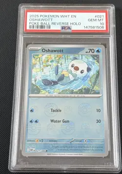Pokemon Oshawott 021/086 Sv: White Flare Poke Ball Reverse Holo PSA 10 - Image 1