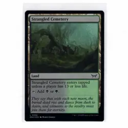 Strangled Cemetery MTG Duskmourn House Of Horrors Foil 0268 - Image 1