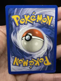 Pokemon Raikou 28/144 Skyridge Regular Non Holo English - Image 3