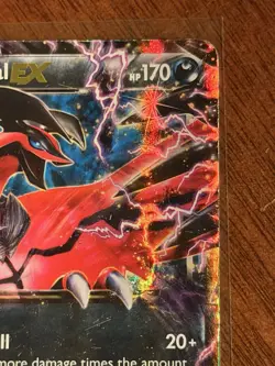 Yveltal EX XY08 XY Promo EX Holo Pokemon Card - Image 3