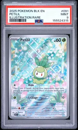 Petilil 091/086 Illustration Rare Blk En-black Bolt Pokemon PSA 9 - Image 1