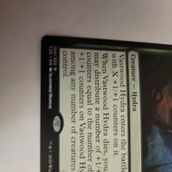 Vastwood Hydra Commander 2020 Regular - Image 5