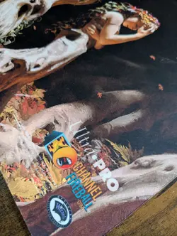 Rare MTG Grand Prix Milwaukee 2018 - TCG Event Promo Playmat Trostani Discordant - Image 2