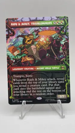 Raph & Mikey, Troublemakers (Showcase) Teenage Mutant Ninja Turtles Regular - Image 1