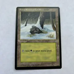 Snow Covered Forest - Ice Age - Land - (40 cards) MTG Cards - Image 1