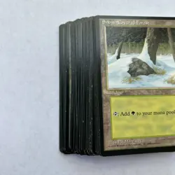 Snow Covered Forest - Ice Age - Land - (40 cards) MTG Cards - Image 3