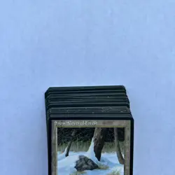 Snow Covered Forest - Ice Age - Land - (40 cards) MTG Cards - Image 4