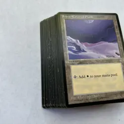 Snow Covered Plains - Ice Age - Land - (47 cards) MTG Cards - Image 3