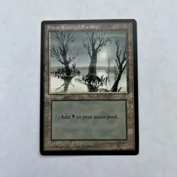 Snow Covered Swamp - Ice Age - Land - (53 cards) MTG Cards - Image 1