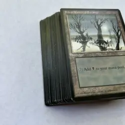 Snow Covered Swamp - Ice Age - Land - (53 cards) MTG Cards - Image 3