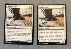 Tempest Hawk 31 Common Tarkir: Dragonstorm Magic: The Gathering Lightly Played - Image 1