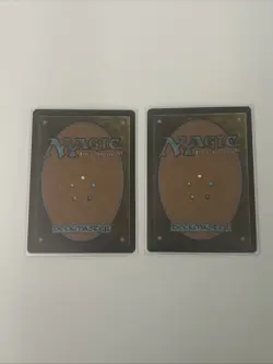 Magic The Gathering Eddie Lord of Light and Howling Mine Foil Secret Lair Drop - Image 2
