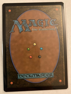 MTG Parallel Lives Borderless Foil Marvel Spider-Man Card Peter Parker + Morales - Image 3