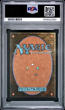 2025 MTG SECRET LAIR DROP SONIC: FRIENDS & FOES-FOIL SHADOW THE HEDGEHOG PSA 8 - Image 2