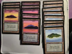 MTG Basic Land Lot 40 Total, 39 Beta, 1 Alpha - Image 1