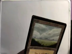 MTG Basic Land Lot 40 Total, 39 Beta, 1 Alpha - Image 3