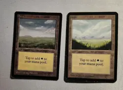 MTG Basic Land Lot 40 Total, 39 Beta, 1 Alpha - Image 4